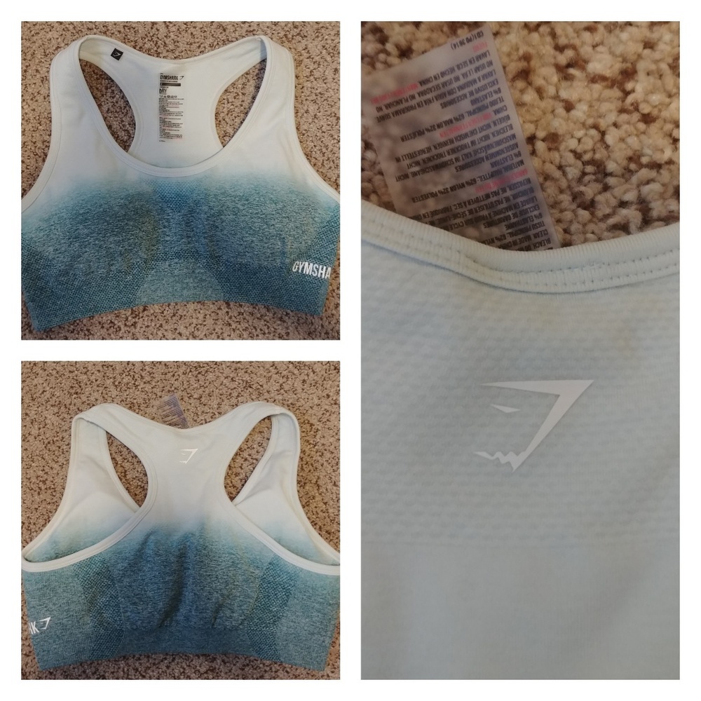 Gymshark Ombre Seamless Teal Sports Bra